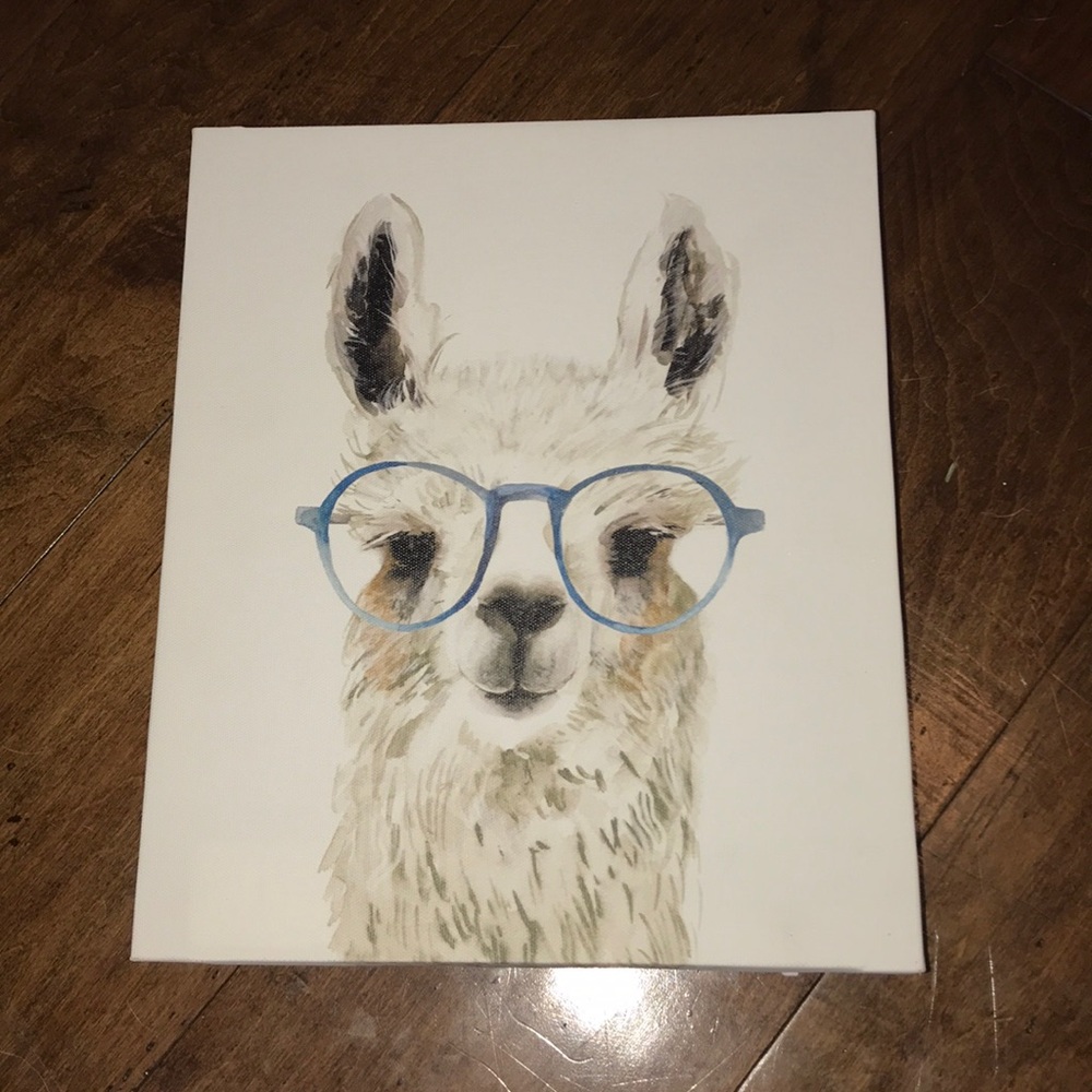 Llama decor